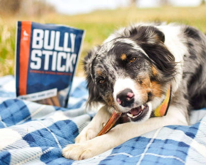 12-inch Bully Sticks (8oz./~5 Sticks)