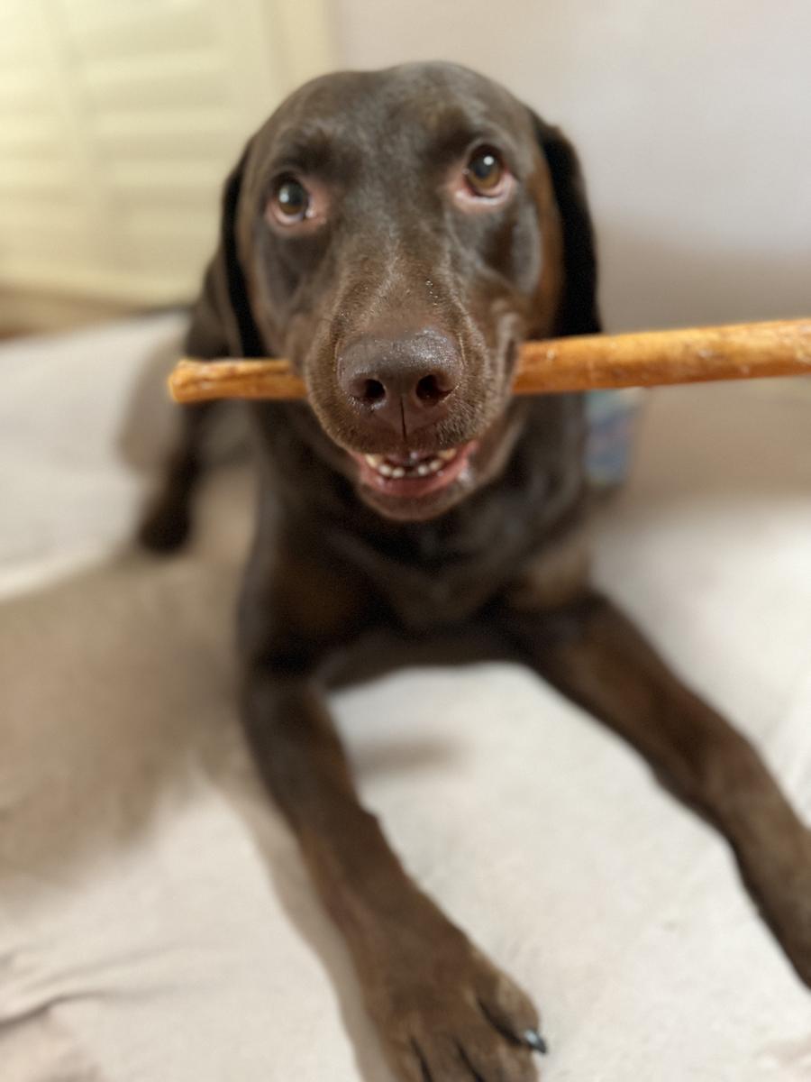 12-inch Bully Sticks (8oz./~5 Sticks)