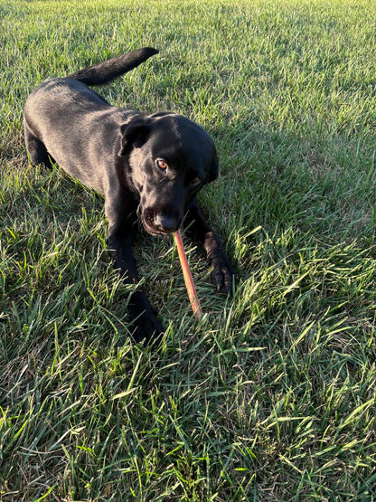 12-inch Bully Sticks (8oz./~5 Sticks)